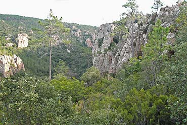 Gorges du Blavet